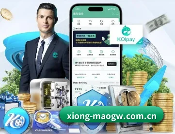 熊猫官网 APP 深度功能